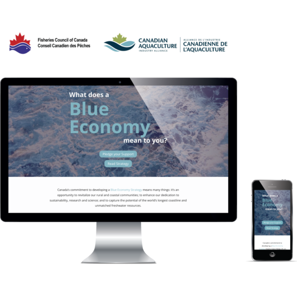Blue Economy Strategy Website Design Example
